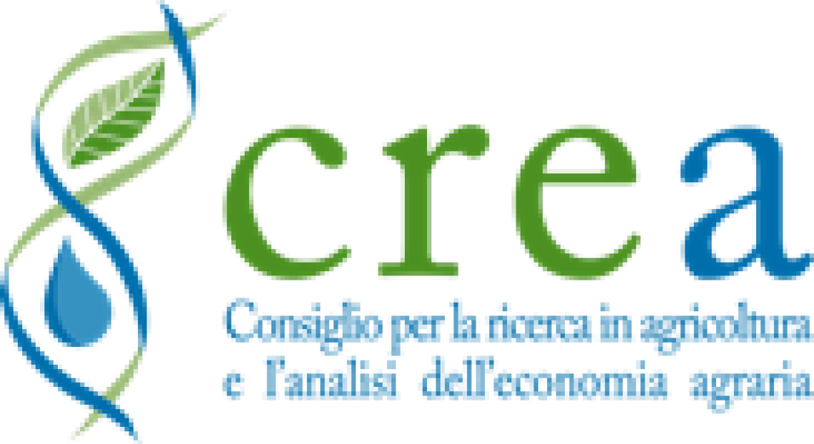 layout_set_logo