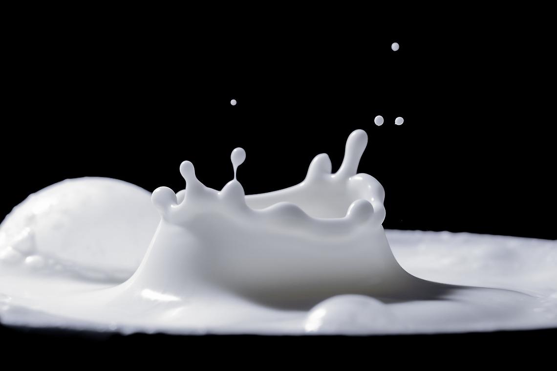 conferimento latte Italatte