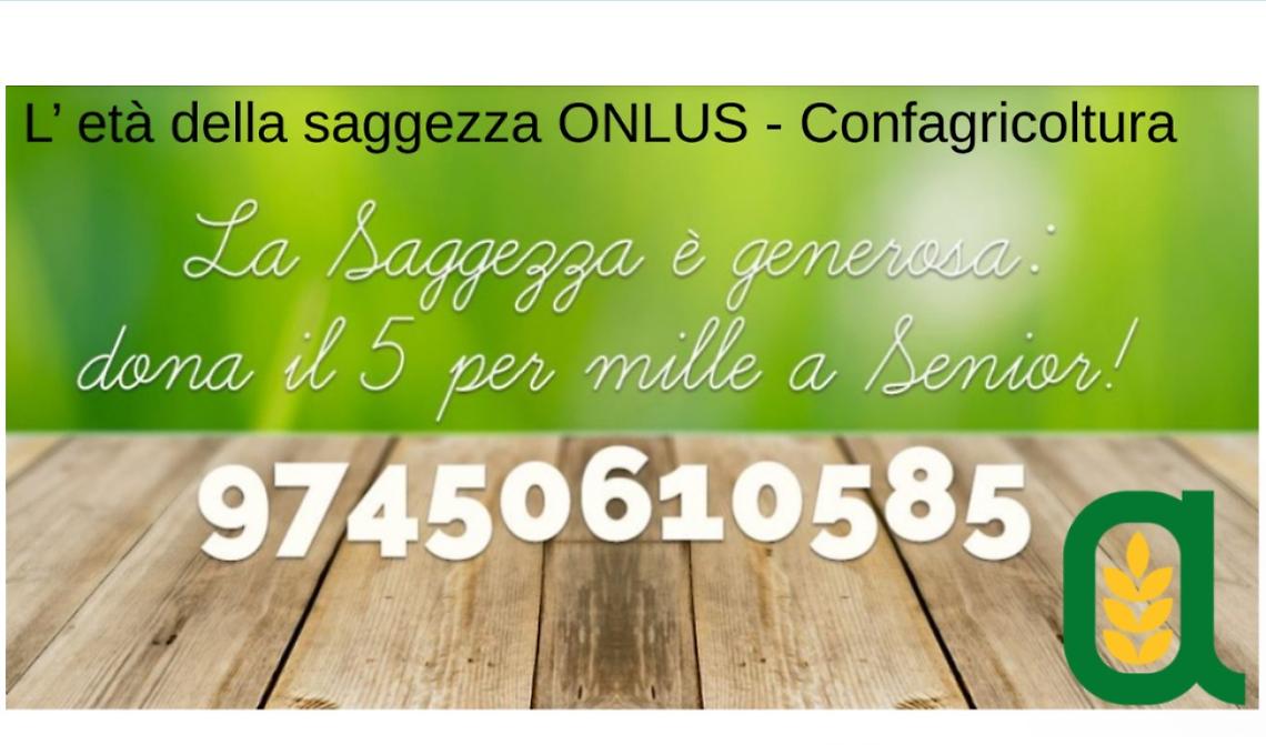 Immagine 2021-06-14 102821