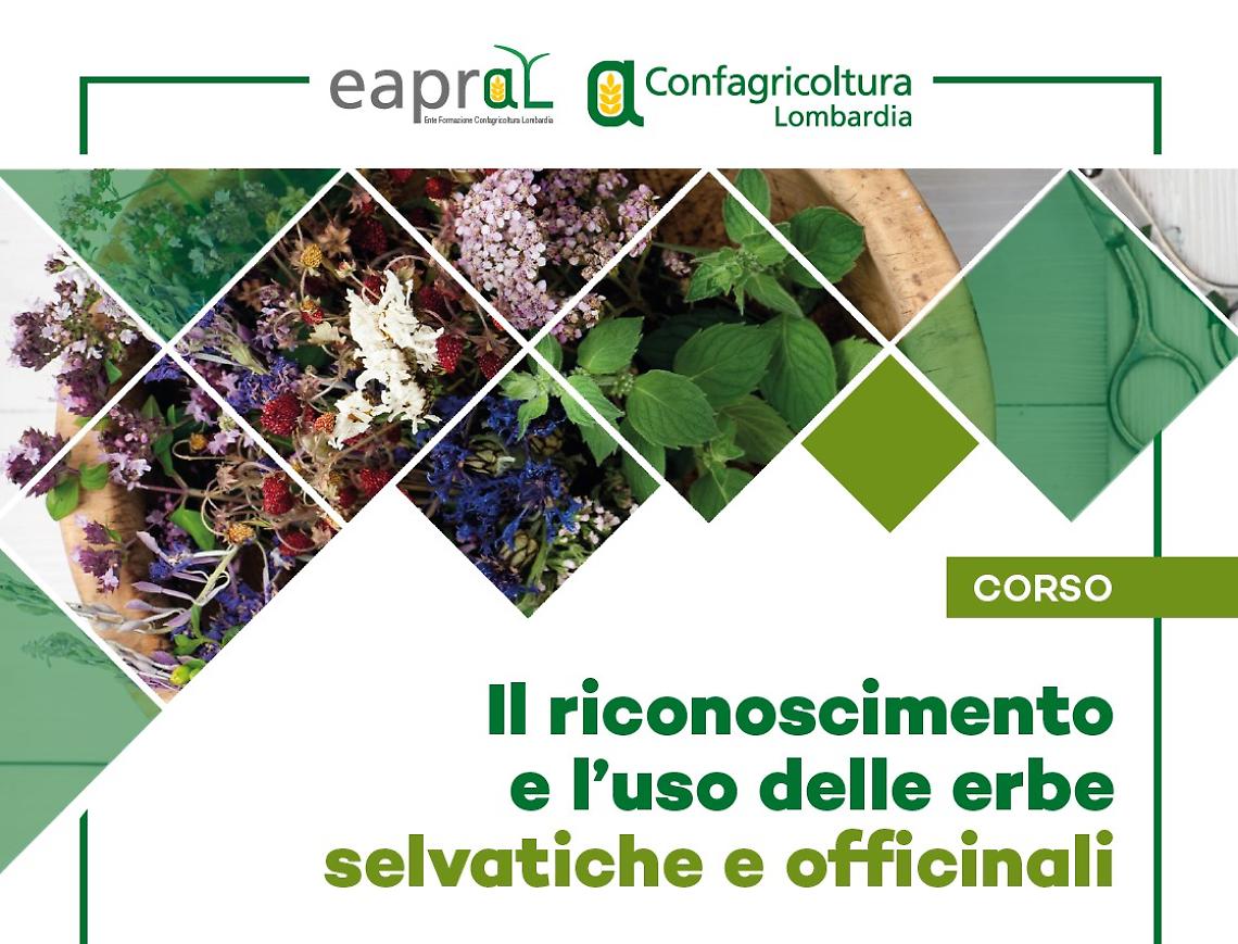 erbe-officinali