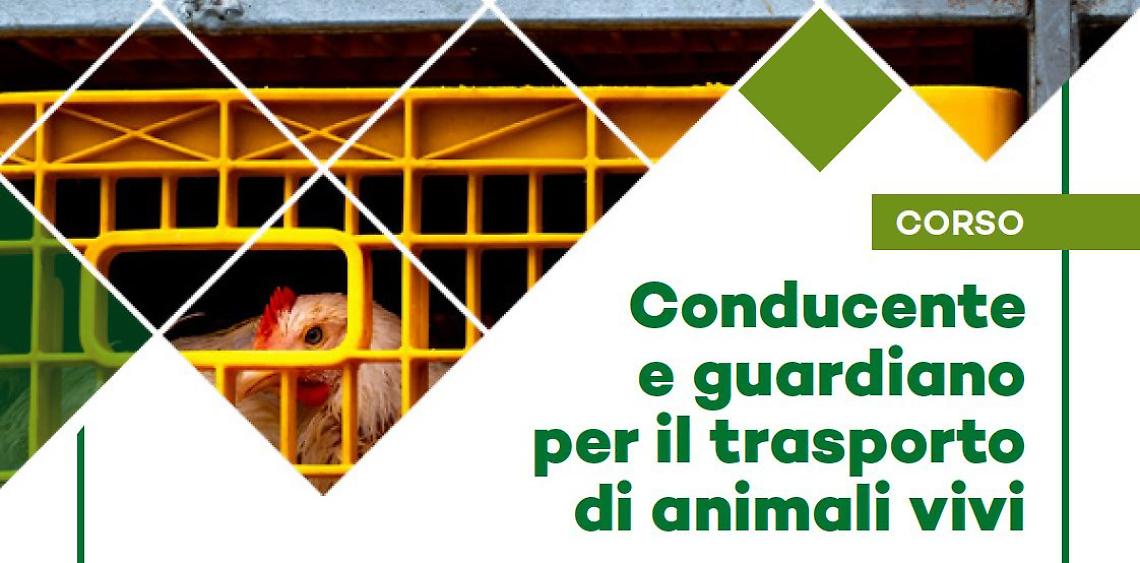 Immagine 2022-05-16 101224