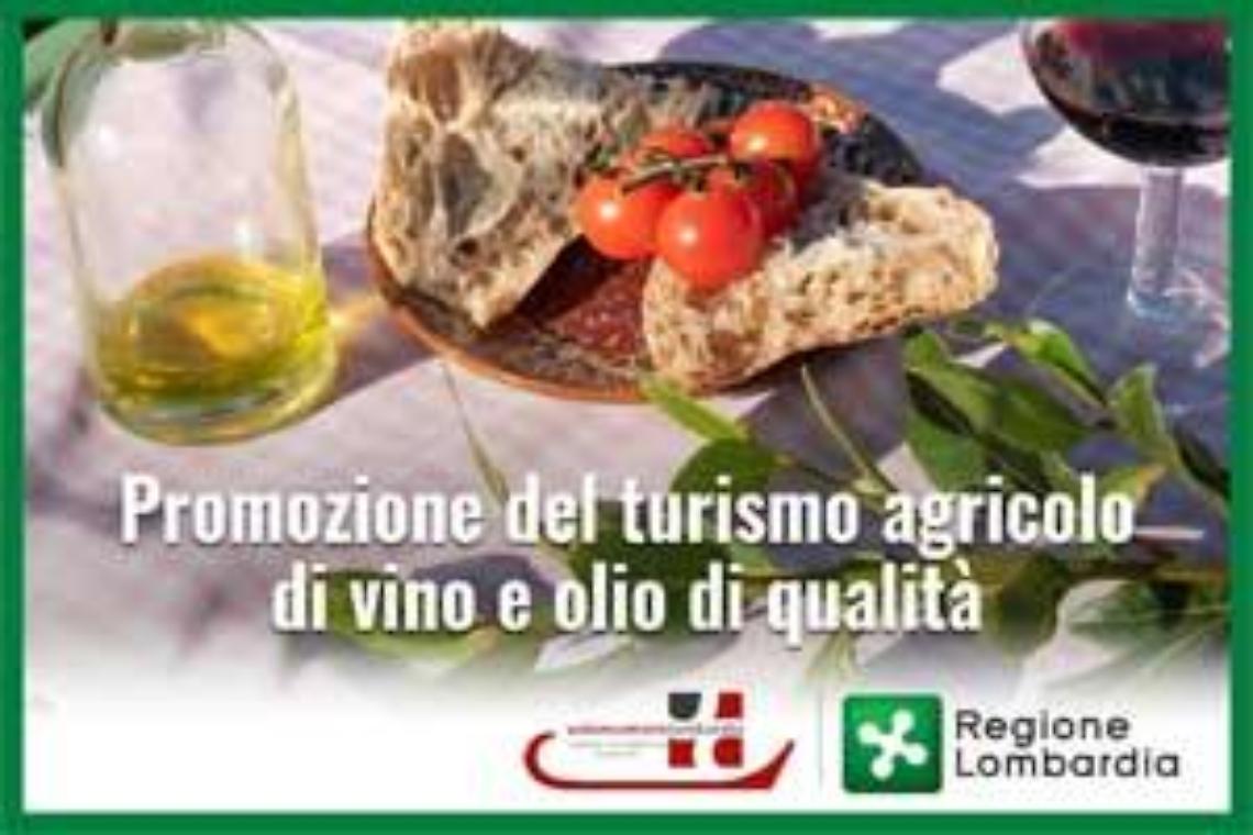 bando-vino-e-olio