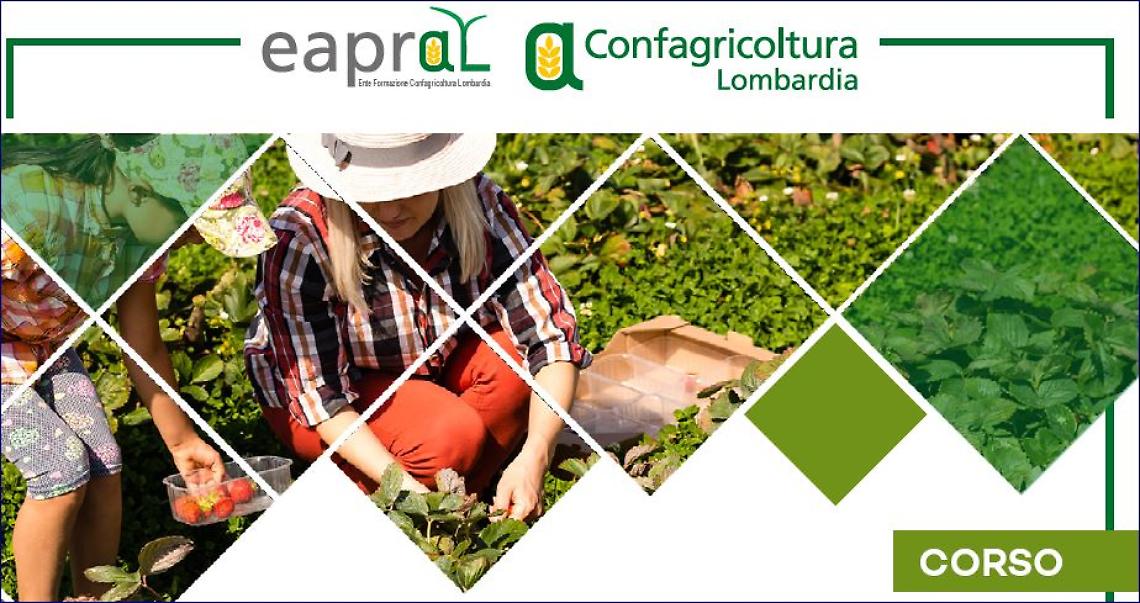 Eapral-corso
