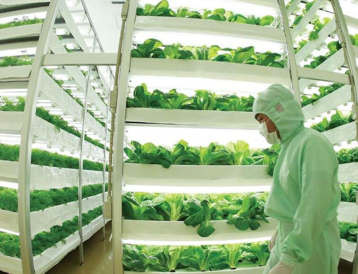 Azienda Planet Farms