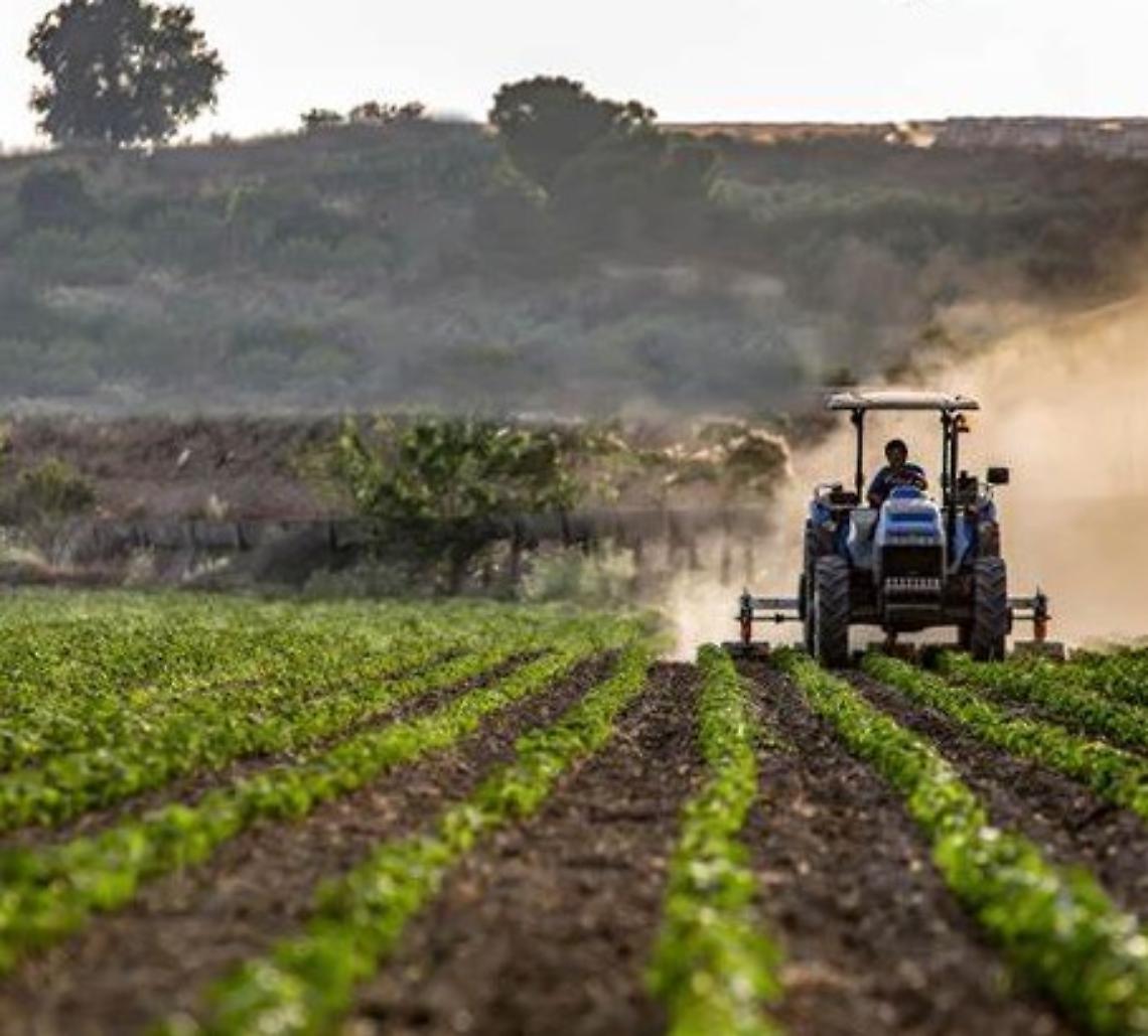Rinnovo CPL impiegati agricoli provincia di Cremona