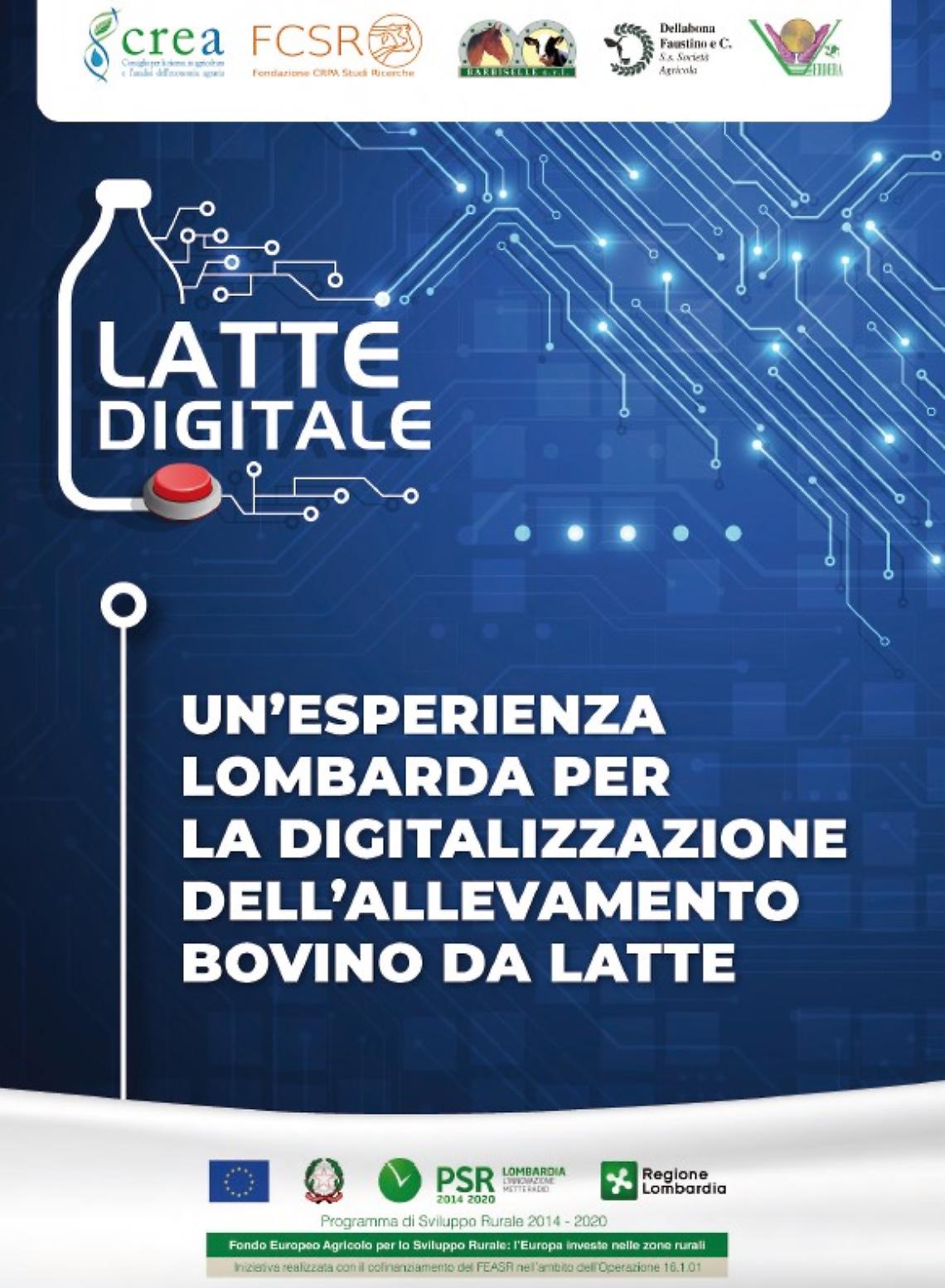 Il bilancio del progetto