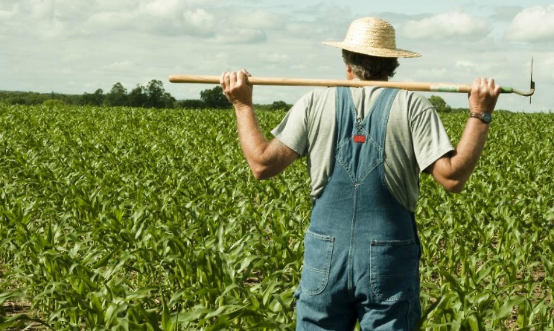«Ora il lavoro deve essere stabilizzato»