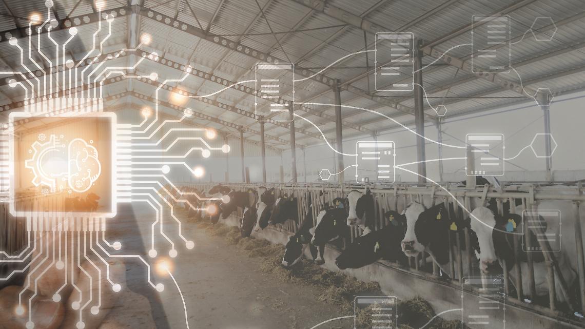 Dati, algoritmi e stalle: con l’intelligenza artificiale indietro non si torna