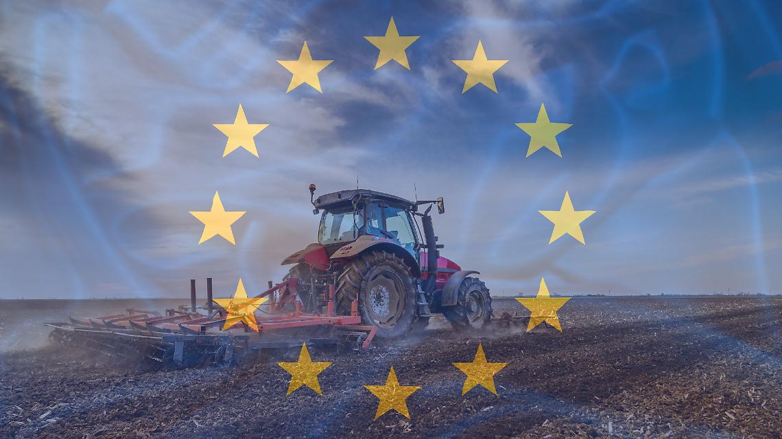 Verso Bruxelles: che cosa c’è davvero in gioco con la nuova PAC