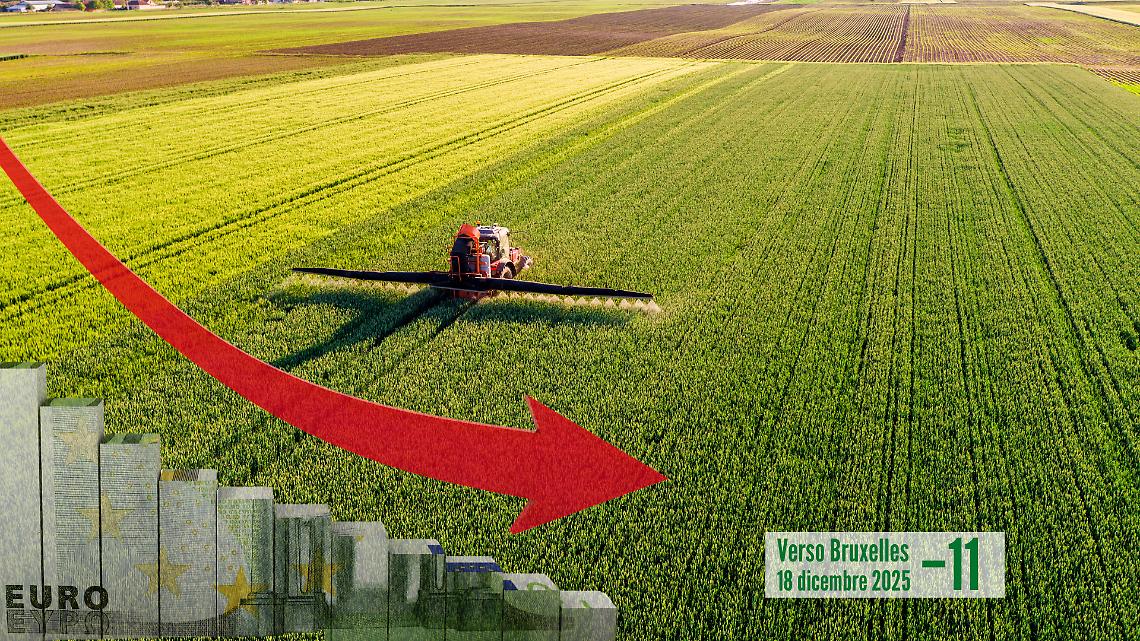 Tagli al bilancio UE: cosa rischiano le aziende agricole della Pianura Padana