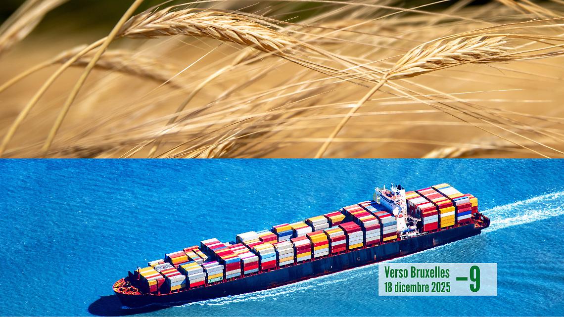 Accordi e importazioni: perché gli agricoltori chiedono “stesse regole per tutti”