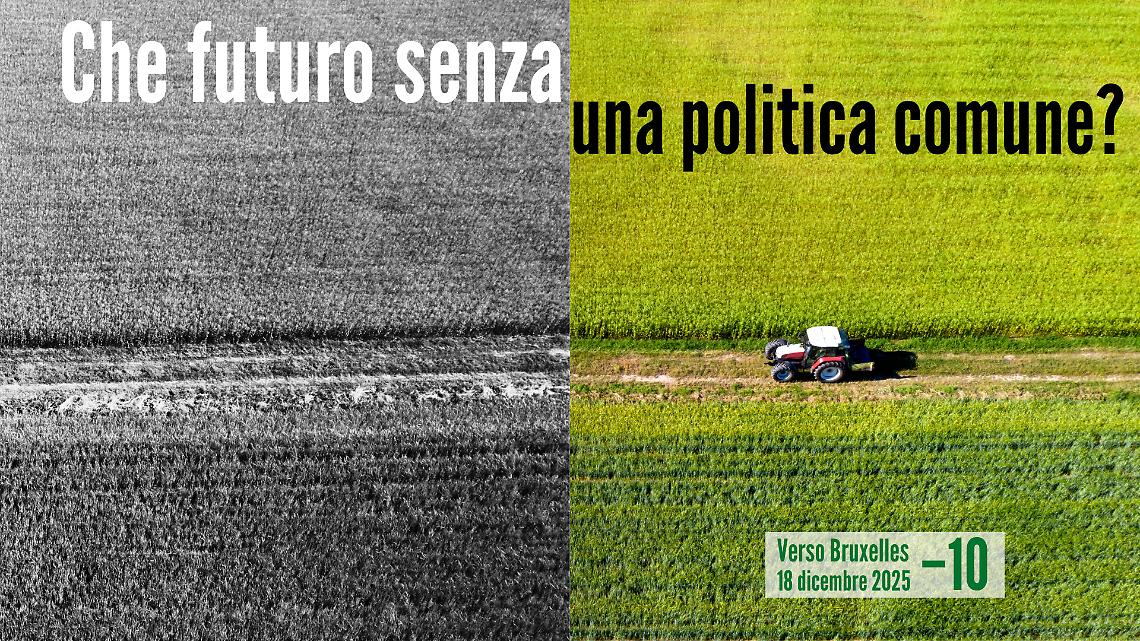 Quando ognuno fa da sé: il rischio di una PAC a 27 velocità