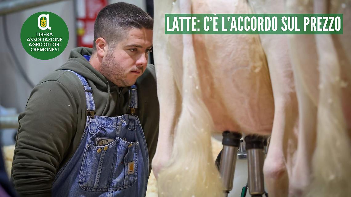 Accordo al ministero sul prezzo del latte: 53 centesimi di media nel primo trimestre 2026