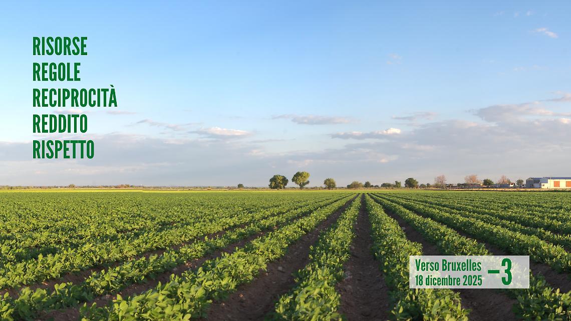 5 punti fermi di Confagricoltura sulla nuova PAC