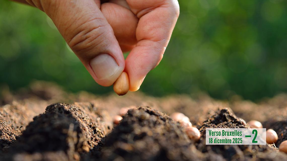 Perch&eacute; la mobilitazione di Bruxelles riguarda tutti