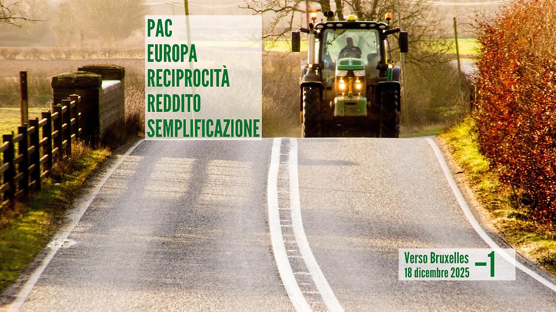 Alla vigilia di Bruxelles: che cosa chiedono in 5 punti gli agricoltori europei