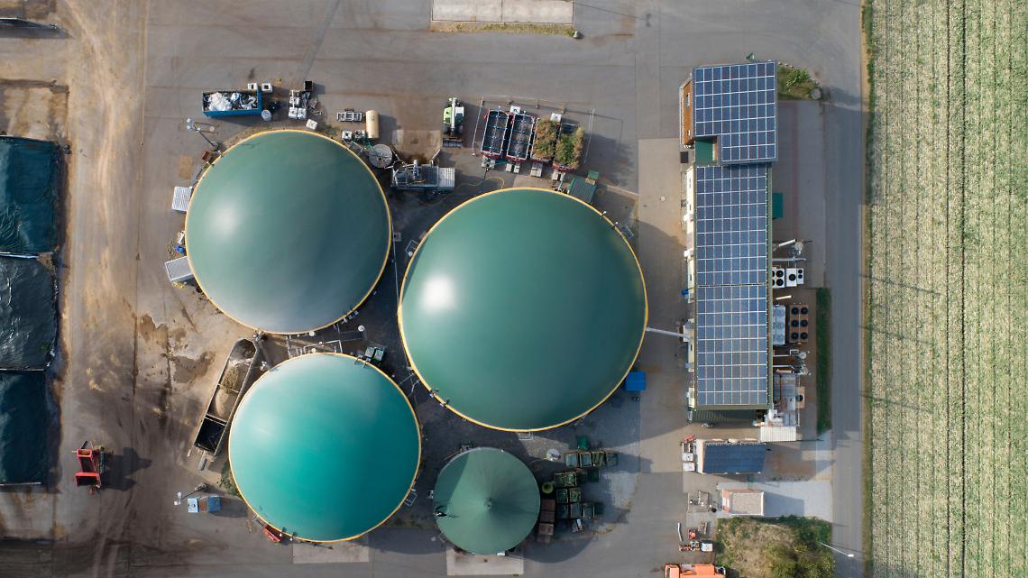Biogas, biometano e bioeconomia: l&rsquo;Italia che trasforma gli scarti in energia (e il ruolo di Cremona)