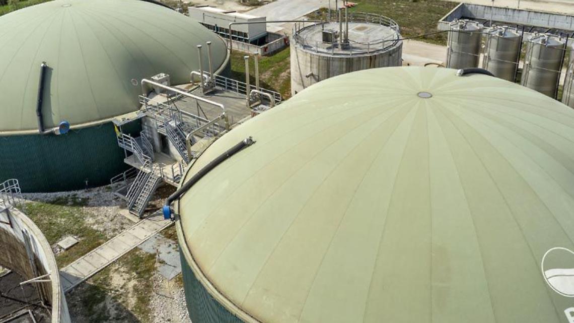 DL bollette e prezzi minimi: confronto con Caligari sul nodo PMG