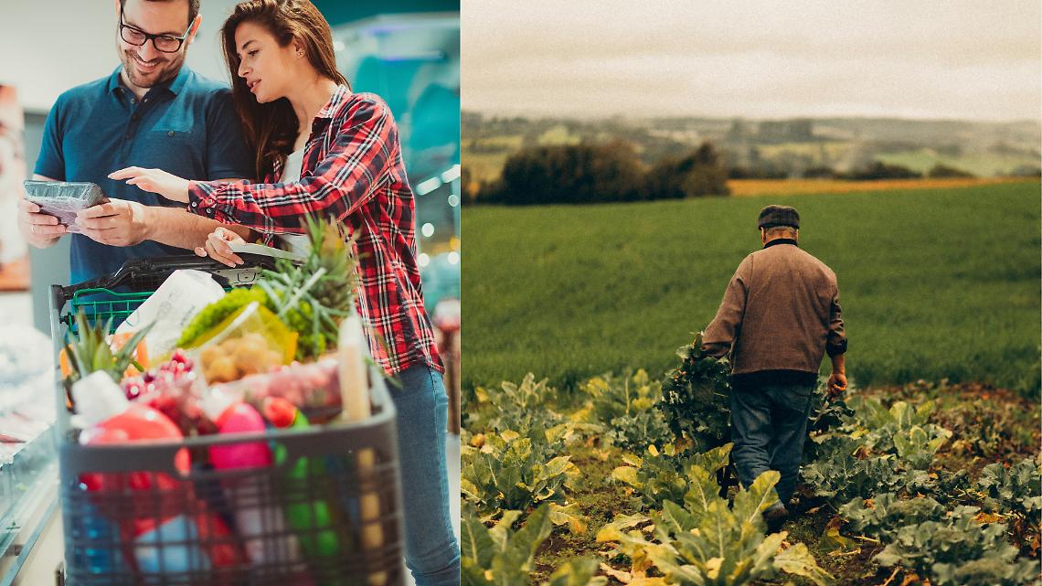 su 100 euro di spesa all'agricoltore ne arrivano 7