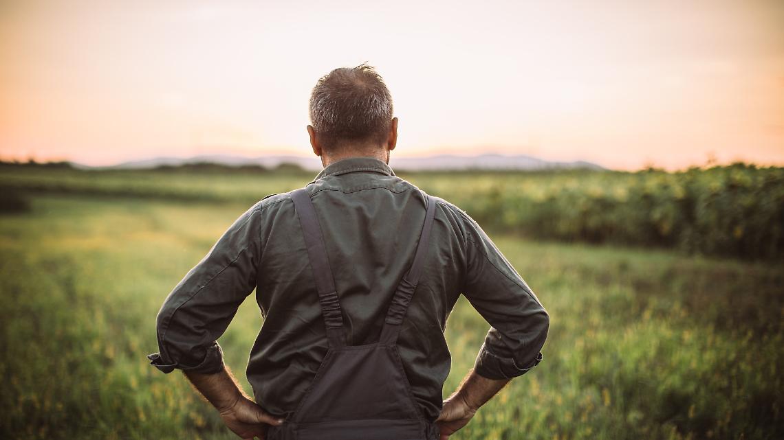Legge di Bilancio 2026: cosa cambia davvero per le imprese agricole
