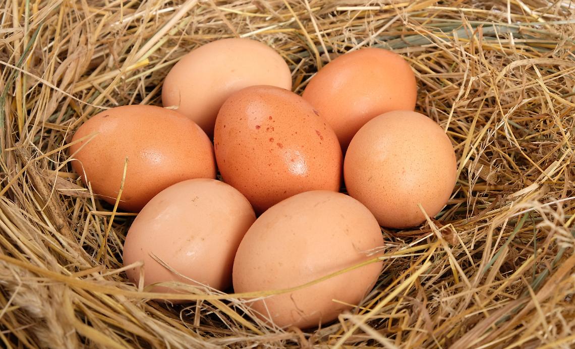 Uova 2026: il guscio come documento, la filiera come prova