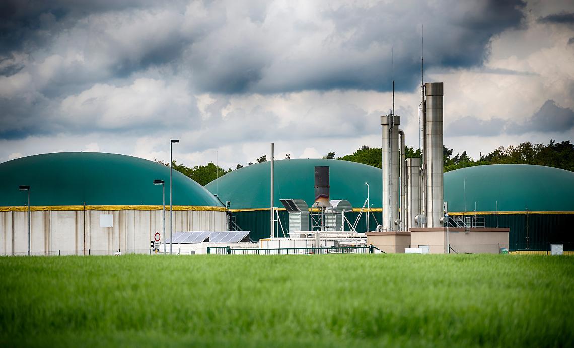 Biogas e decreto bollette: sul PMG si riapre il rischio stop per molti impianti agricoli