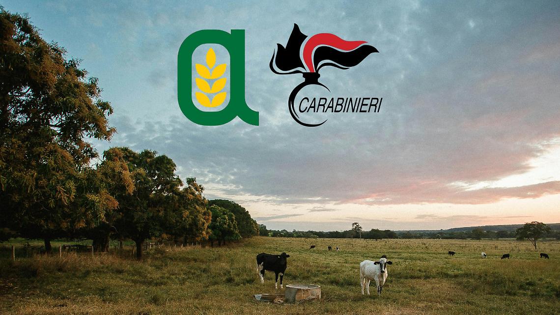 Protocollo Carabinieri&ndash;Confagricoltura: dalla cornice nazionale alla tutela quotidiana delle aziende