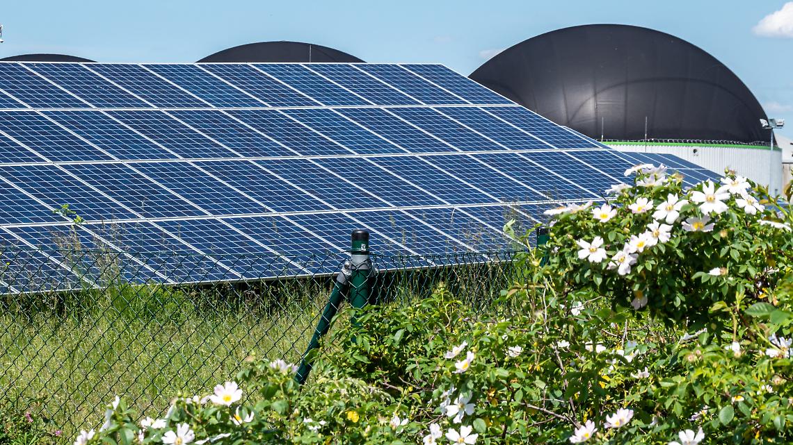 DL &ldquo;Bollette&rdquo;: cosa potrebbe cambiare per biogas, biomasse e fotovoltaico