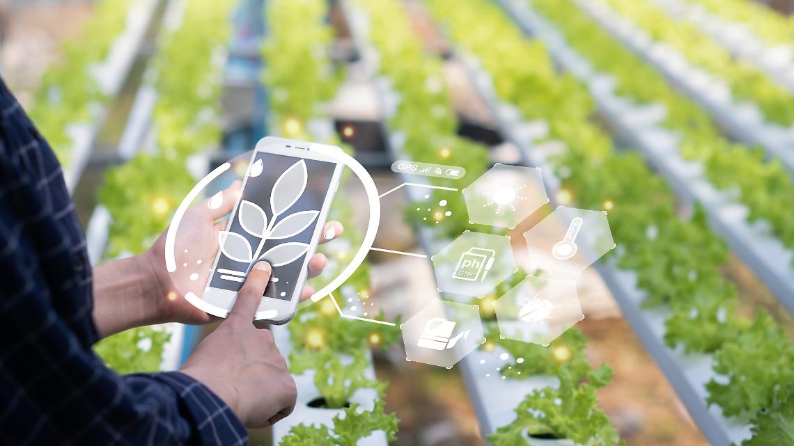 Perch&eacute; i fondi all'innovazione agricola non arrivano agli agricoltori