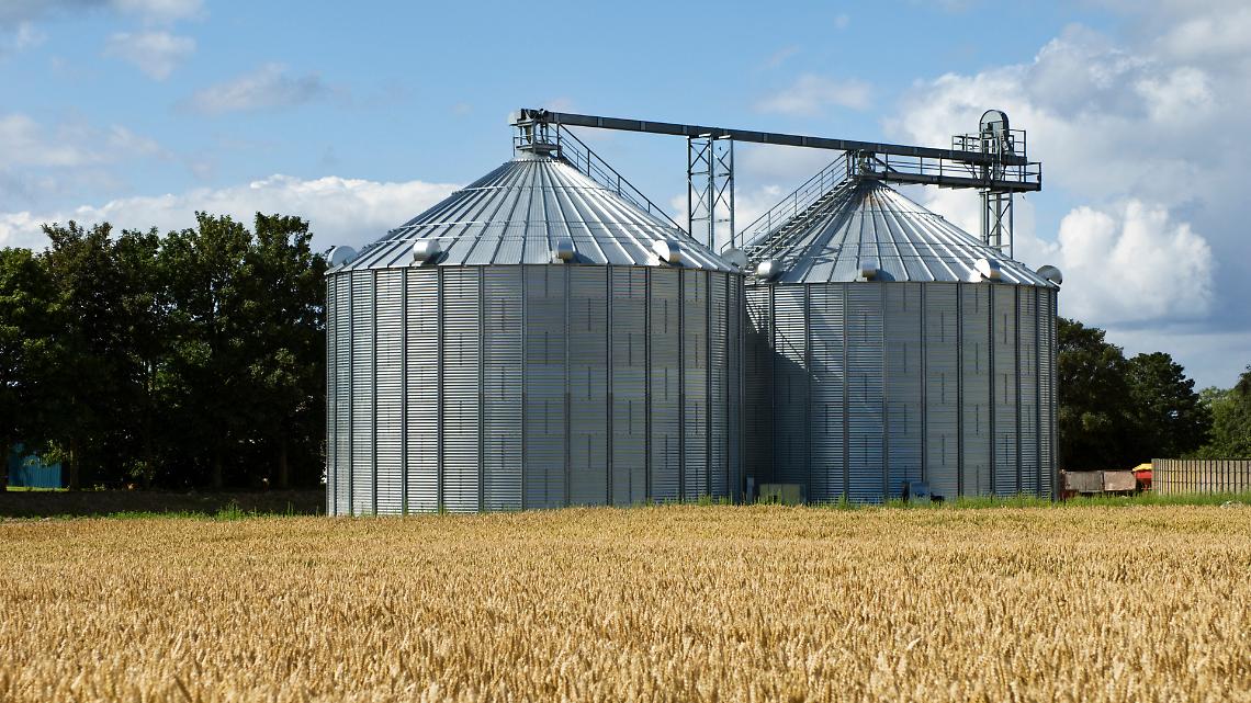 L&rsquo;Europa alla prova del grano: perch&eacute; l&rsquo;agricoltura deve tornare al centro delle scelte politiche