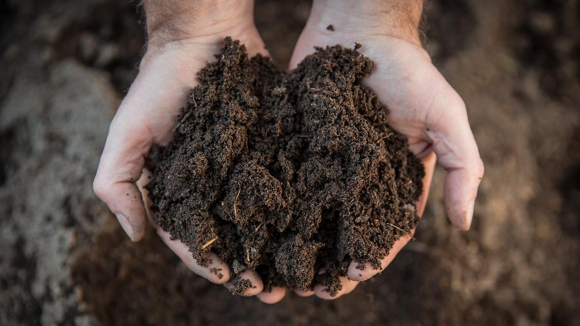 Alternative ai fertilizzanti da gas: tecnologie, riciclo e fertilizzanti organici