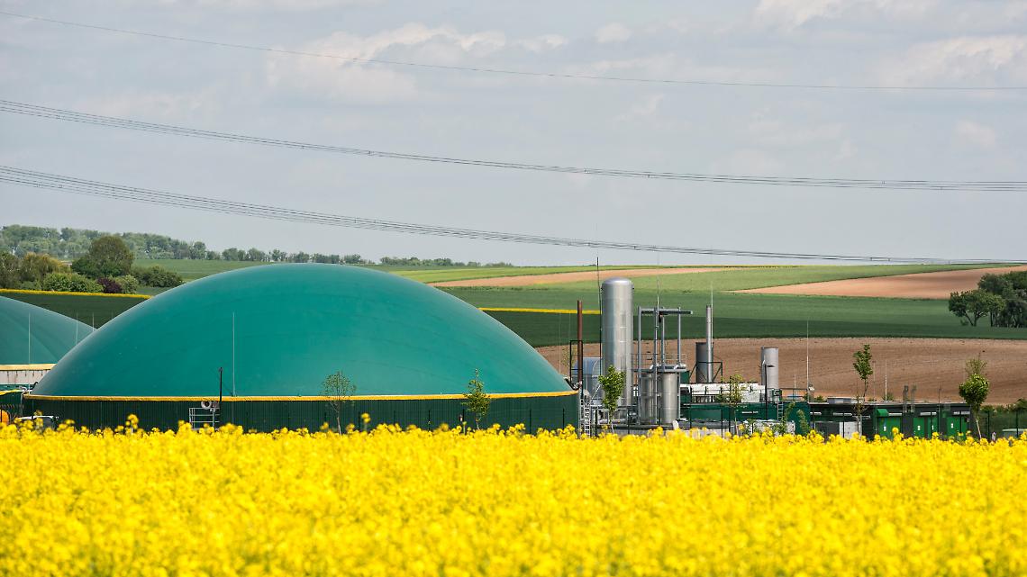 l piano quinquennale per il biometano: come funzioner&agrave; per agricoltori e investitori