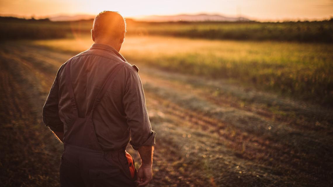 Campi al collasso: come la guerra nel Golfo sta soffocando l&rsquo;agricoltura italiana (e mondiale)