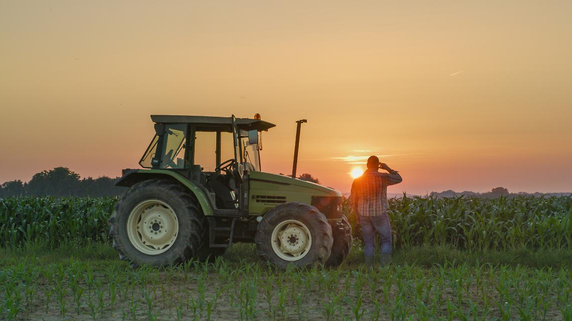 Fertilizzanti e fame: come la crisi dello Stretto di Hormuz pu&ograve; tradursi in una crisi alimentare globale