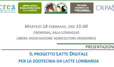 latte digitale