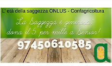 Immagine 2021-06-14 102821