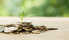 Planting trees on a coin pile with sunlight