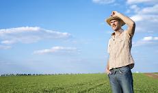 Young farmer in the field observing crops.