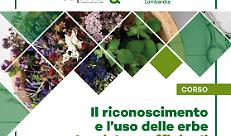 erbe-officinali