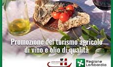 bando-vino-e-olio