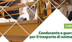 CONDUCENTE