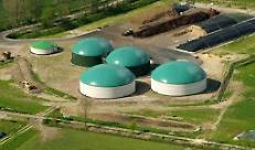 La produzione di energia in ambito agricolo: biogas e biometano
