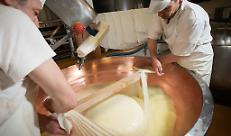 Lavorazione del Grana Padano