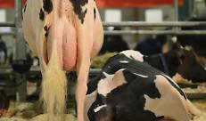 La sfida di Cremona per una zootecnia sostenibile