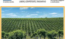 ABBONAMENTI ALLE RIVISTE: LIBERA ASSOCIAZIONE AGRICOLTORI CREMONESI E IL GRUPPO EDITORIALE DE L'INFORMATORE AGRARIO RINNOVANO L'ACCORDO PER IL 2024