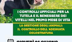 TUTELA E BENESSERE DEI VITELLI NEL PRIMO MESE DI VITA