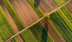 Quaderno di campagna, proroga di un anno. La soddisfazione di Confagricoltura Lombardia