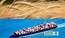 Accordi e importazioni: perch&eacute; gli agricoltori chiedono &ldquo;stesse regole per tutti&rdquo;