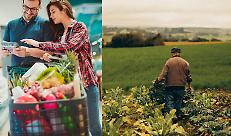 su 100 euro di spesa all'agricoltore ne arrivano 7