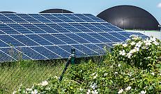 DL &ldquo;Bollette&rdquo;: cosa potrebbe cambiare per biogas, biomasse e fotovoltaico